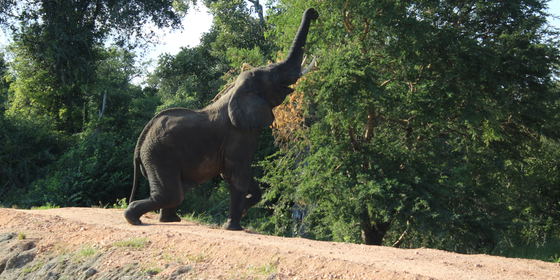 11 Days Southern Circuit Immersive Safari for 2 Persons