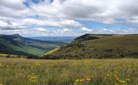 Boschberg Mountain, Somerset East, KwaNojoli, Eastern Cape, South Africa