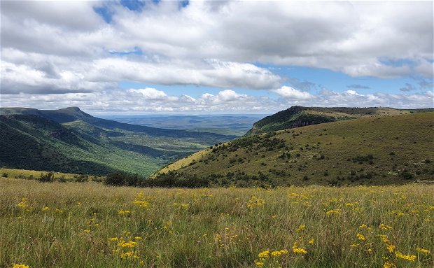 Boschberg Mountain, Somerset East, KwaNojoli, Eastern Cape, South Africa