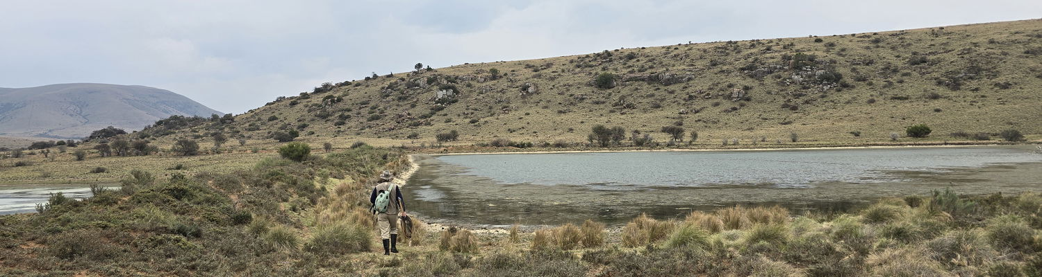 Wild Fly Fishing in the Karoo, fly fishing guiding