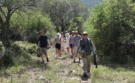 Indigenous Forest walk with A&A Adventures