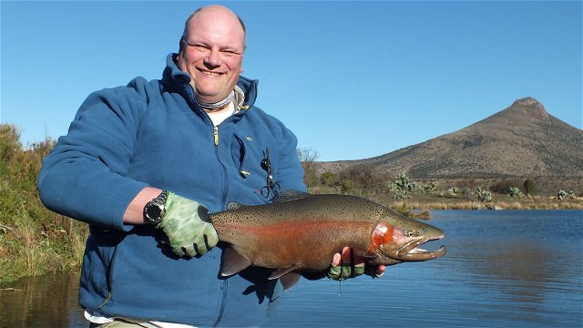 Trophy trout in the Karoo, Wild Fly Fishing in the Karoo, Somerset East, South Africa