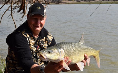 Largemouth yellowfish, on the Orange River in South Africa, with Wild Fly Fishing in the Karoo
