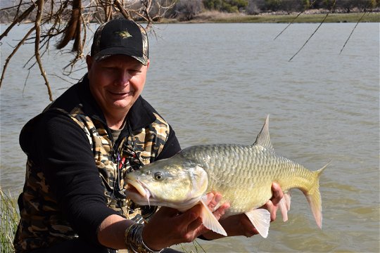 Largemouth yellowfish, on the Orange River in South Africa, with Wild Fly Fishing in the Karoo