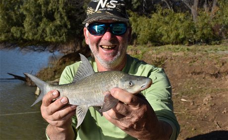 Mudfish caught on the Orange River with Wild Fly Fishing in the Karoo