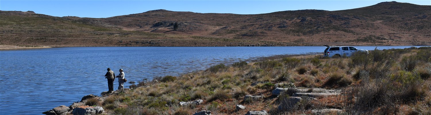 Trout fishing, Wild Fly Fishing in the Karoo