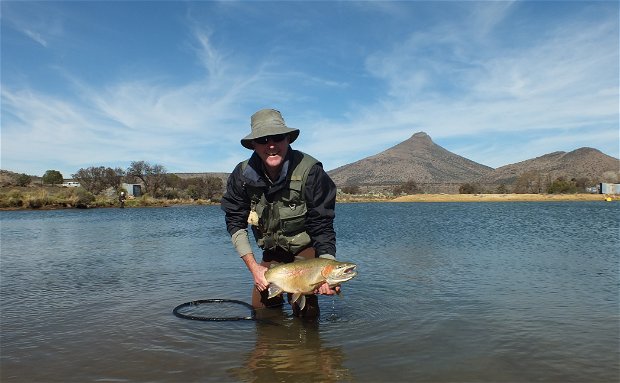 Trophy rainbow trout in the Karoo