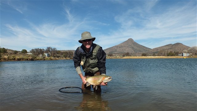 Trophy rainbow trout in the Karoo