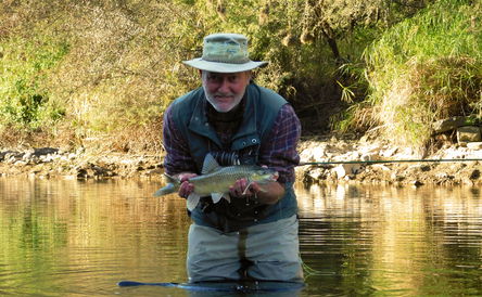 Chasing slabs of gold