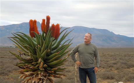 Aloe ferox in the Eastern Cape Karoo, with A&A Adventures in South Africa