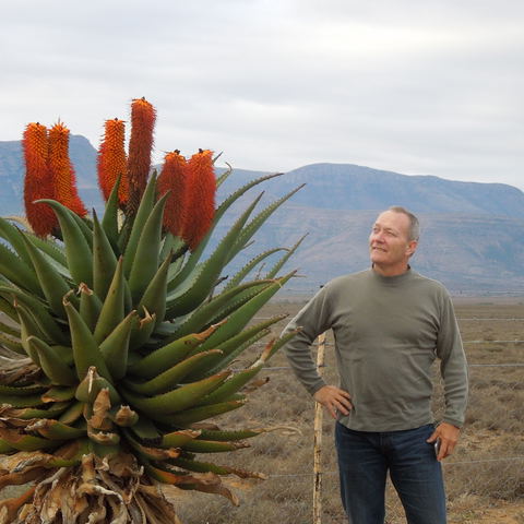 Aloe ferox in the Eastern Cape Karoo, with A&A Adventures in South Africa