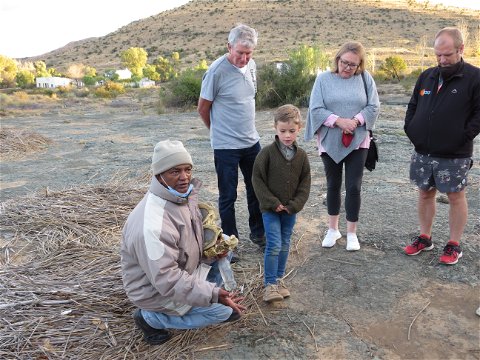 Searching for fossils in the Karoo with A&A Adventures in South Africa