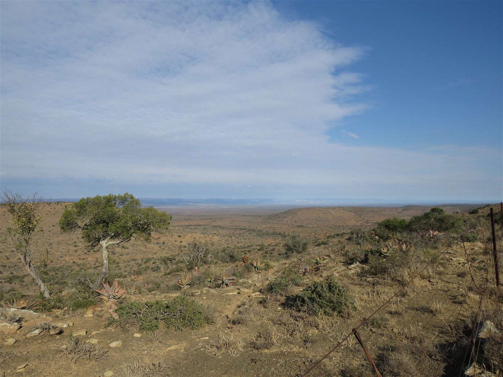 The Great Karoo, Eastern Cape, South Africa