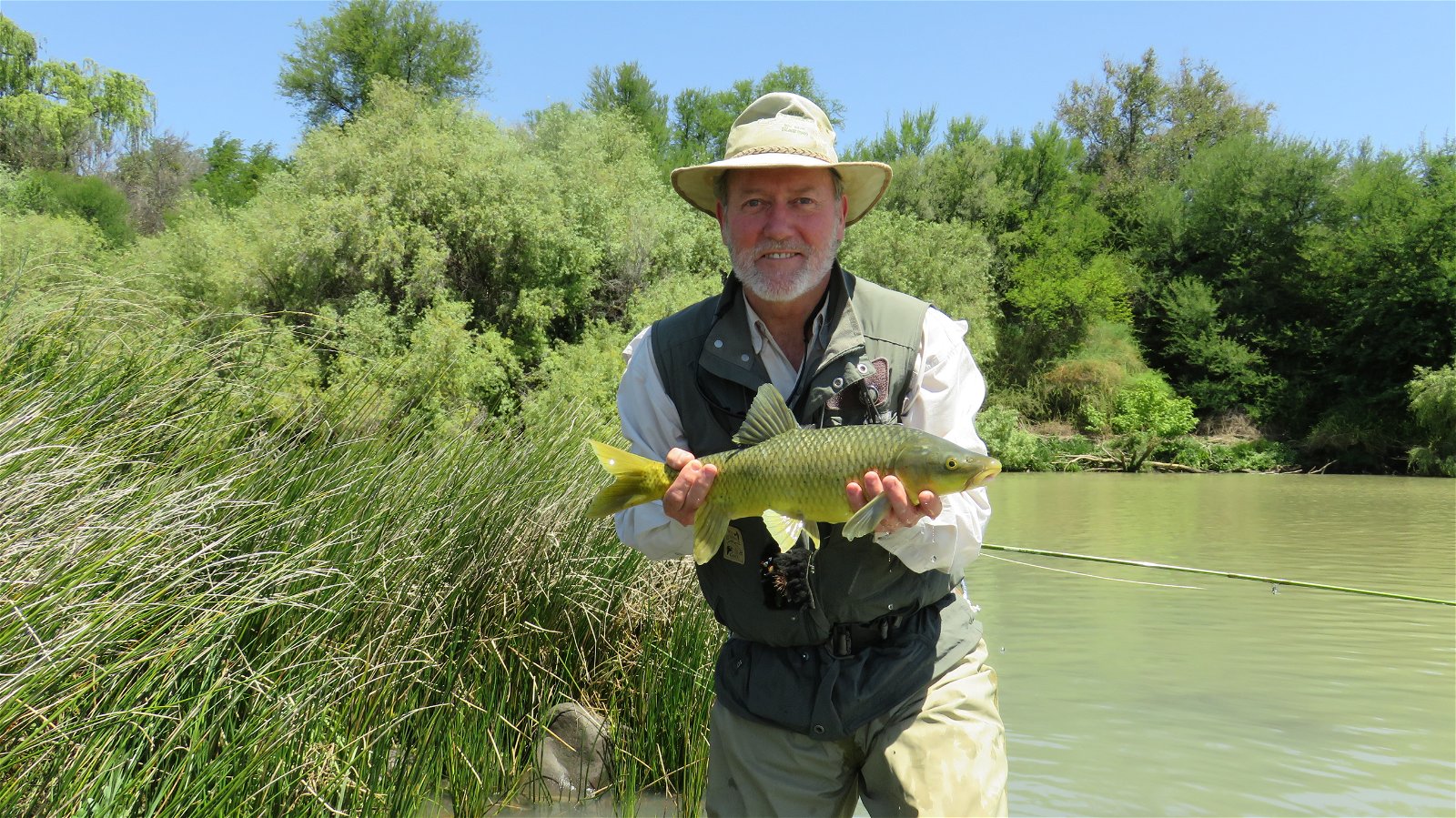 Indigenous yellowfish, caught by Alan Hobson in the Orange River. Wild Fly Fishing in the Karoo