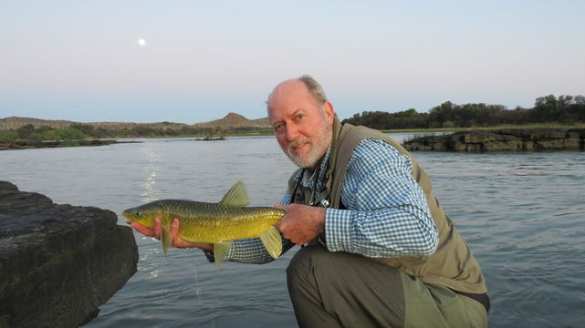 Indigenous yellowfish on the Orange River with A&A Adventures and Wild Fly Fishing in the Karoo