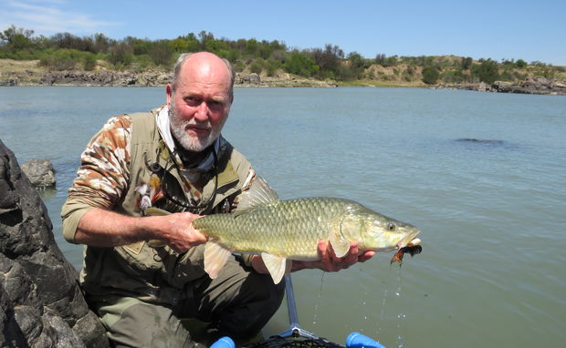 Largemouth yellowfish with A&A Adventures and Wild Fly Fishing in the Karoo