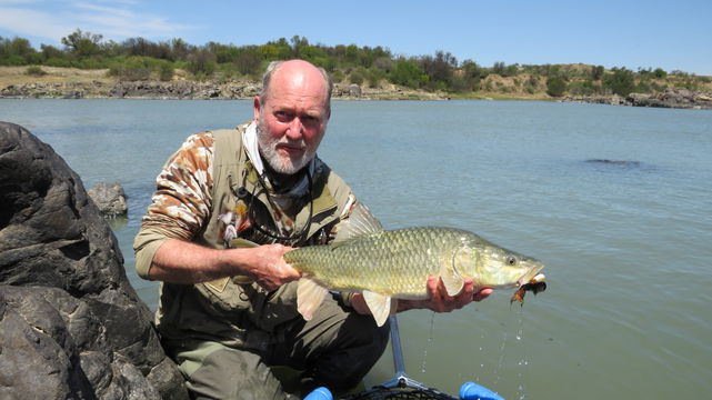 Largemouth yellowfish with A&A Adventures and Wild Fly Fishing in the Karoo