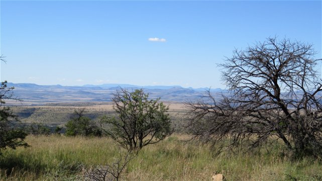 Mountain Zebra National Park with A & A Adventures in South Africa