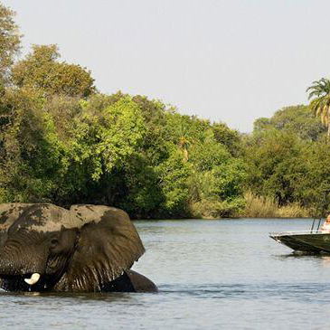 Livingstone, Victoria Falls, and Chobe