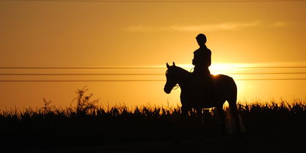 Horse Back Trails