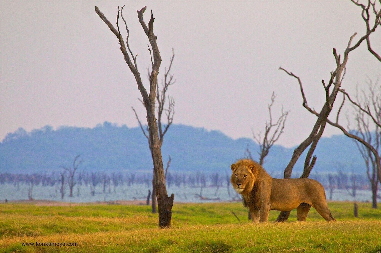 Your Gateway to Zambia, Botswana, Malawi and Zimbabwe