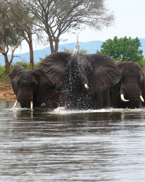 Lower Zambezi