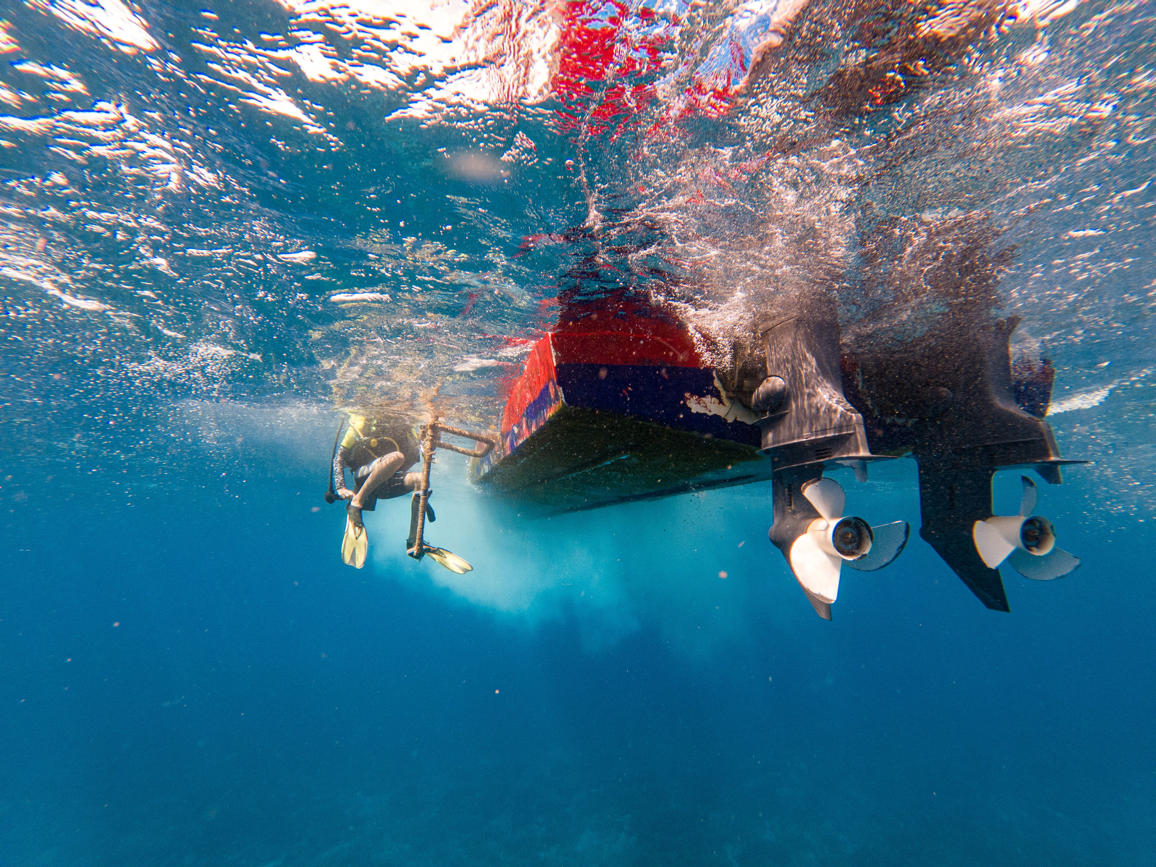 become a PADI scuba diving instructor. dive