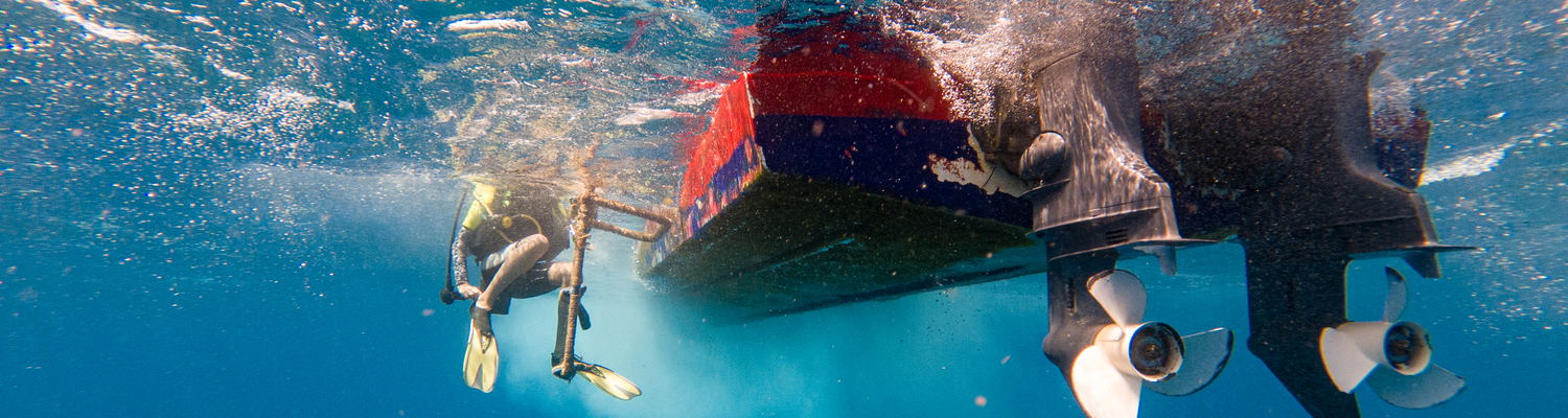 become a PADI scuba diving instructor. dive