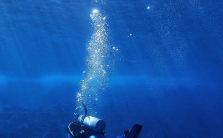 PADI dive master course, Zanzibar, Instructor courses