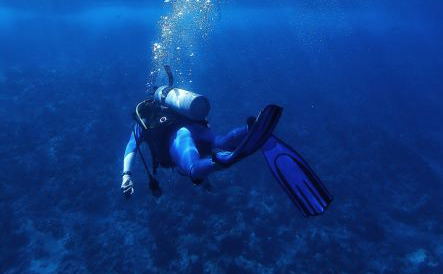 PADI dive master course, Zanzibar, Instructor courses PADI dive master course, Zanzibar, Instructor courses
