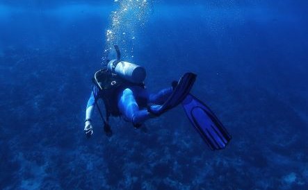PADI dive master course, Zanzibar, Instructor courses PADI dive master course, Zanzibar, Instructor courses
