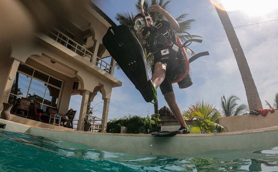 Dive - PADI Dive Master and Instructor
