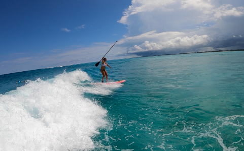Stand U Paddle in Zanzibar in mangroves or on waves Stand U Paddle in Zanzibar in mangroves or on waves