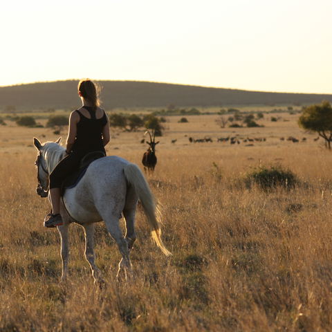 Activities & Eco-Tourism
