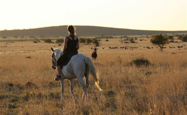 At Grootvallei we offer activities for all ages. Come witness the true beauty of nature through hunting, game drives or horseback riding.