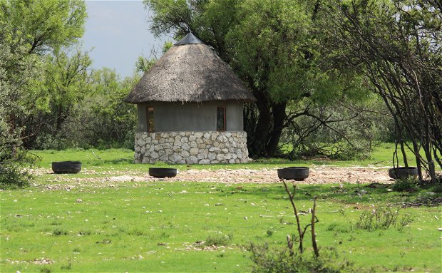 Bow hunting in Free State. Bow hunting in South Africa.