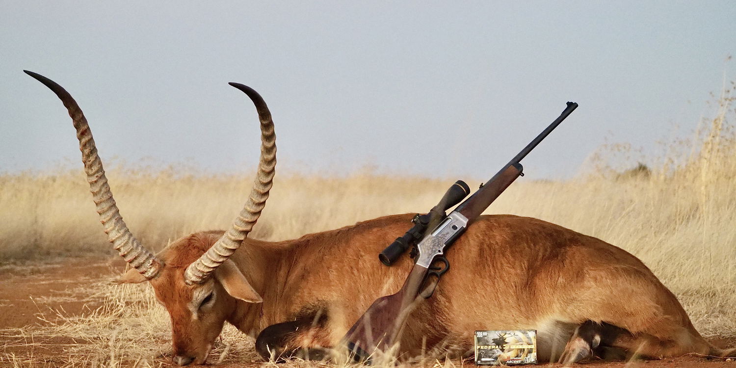 For the best trophy and biltong hunting experience in Southern Africa, you found the right place. We offer the best hunting experience for local and international hunters.