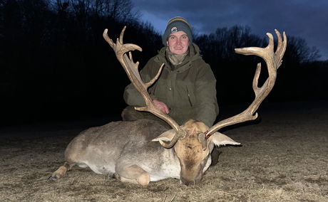 Cover photo of a majestic Hungarian Fallow Deer. Hunt mature bucks with stunning palmated antlers in some of Europe’s most scenic hunting grounds.