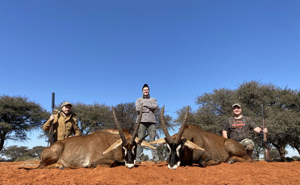 Embark on an extraordinary journey at Grootvallei, the ultimate trophy hunting destination. Witness the rare spectacle of twin Roans, an unmatched adventure for avid hunters and wildlife enthusiasts alike. Book your once-in-a-lifetime experience today.
