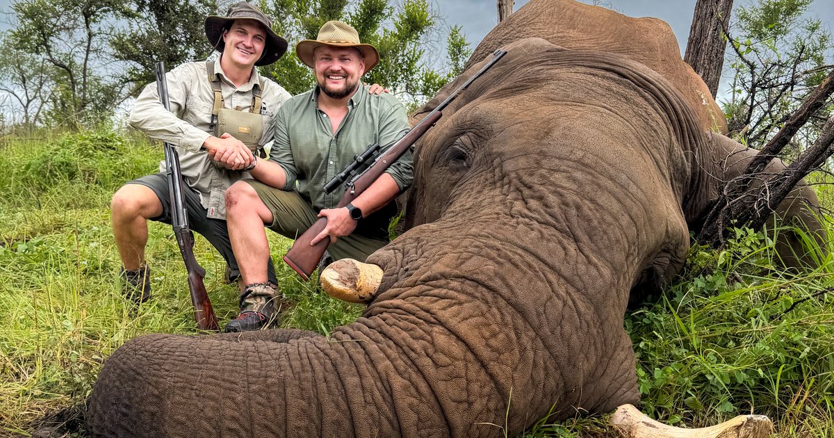 Dangerous Game Hunting - Grootvallei African Safari's