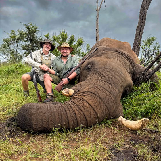 Dangerous Game Hunting