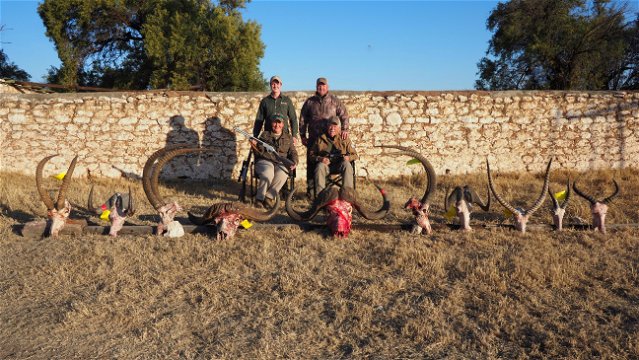 For the best trophy, biltong and corporate hunting experience look no further than Grootvallei. We offer the best hunting experience for clients in the Northern Cape and Free State. 