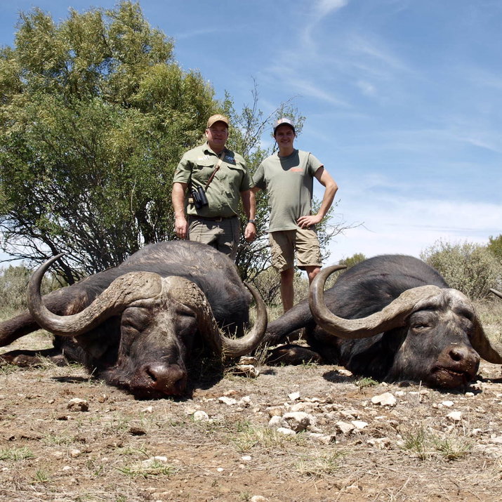 All inclusive Buffalo hunt 
