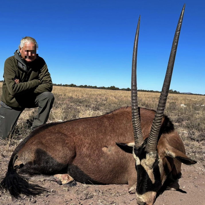 Oryx Slam