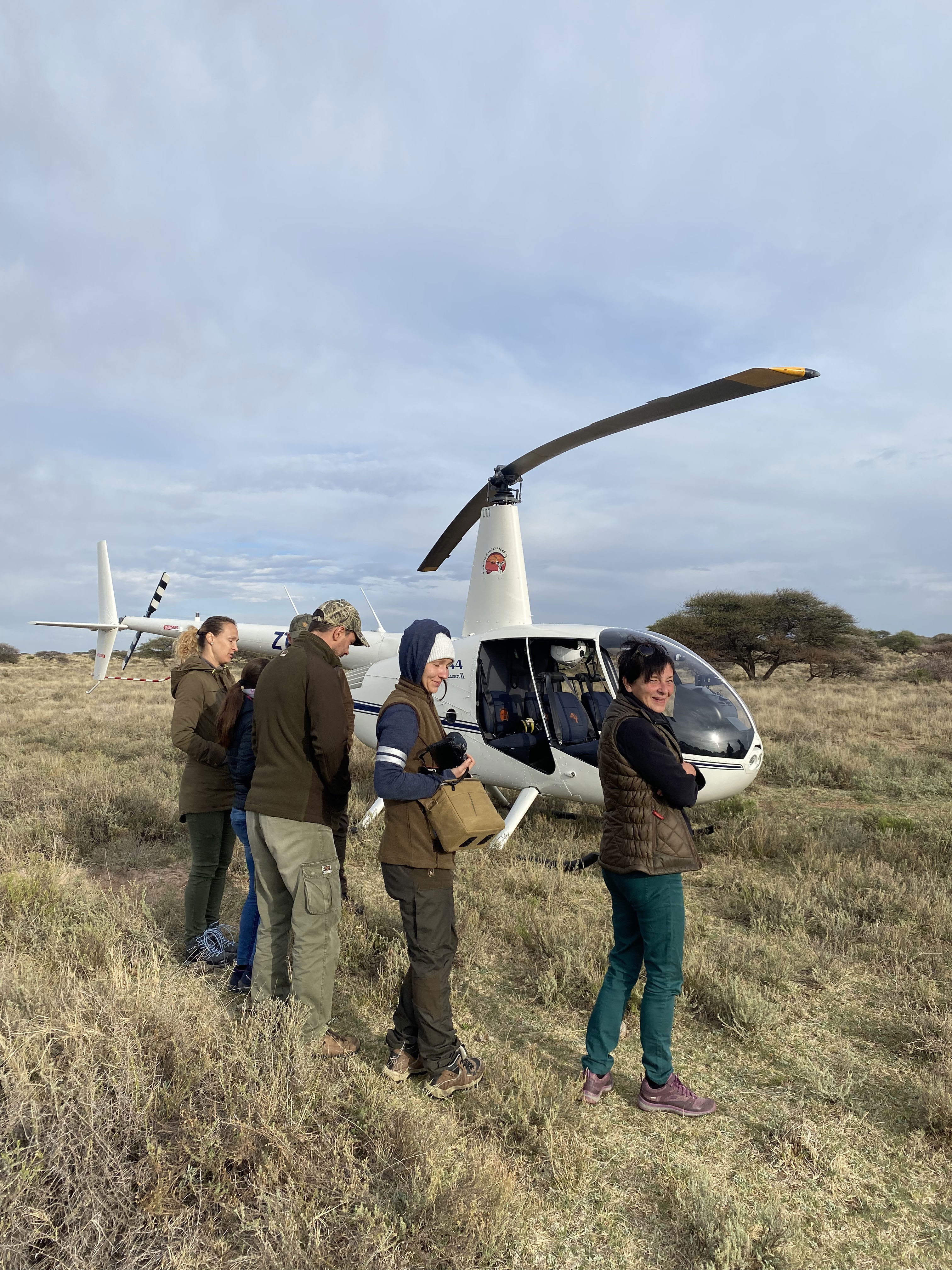 Book our exclusive helicopter offer, a very unique way of seeing wildlife from the air. 