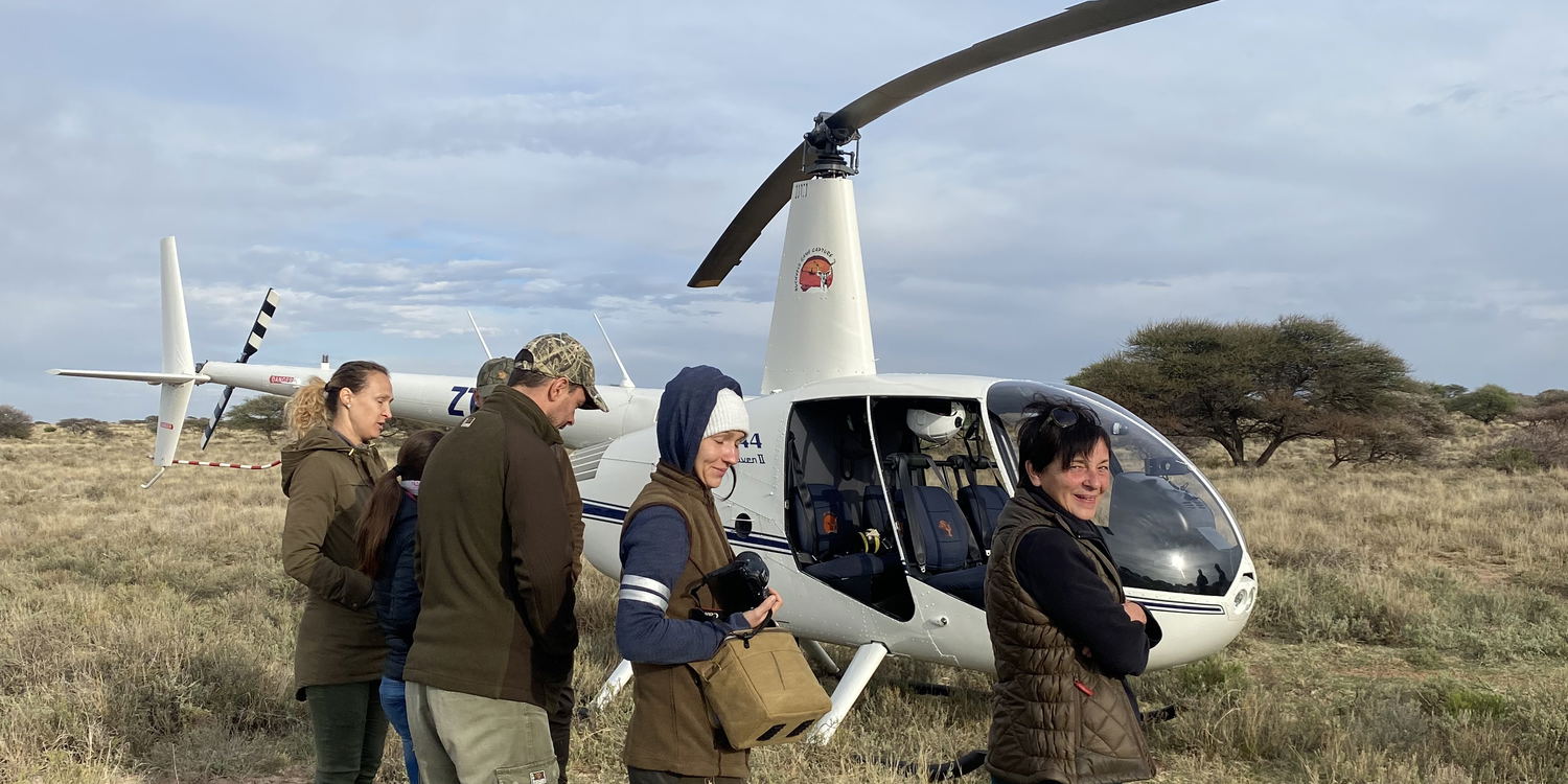 Book our exclusive helicopter offer, a very unique way of seeing wildlife from the air.