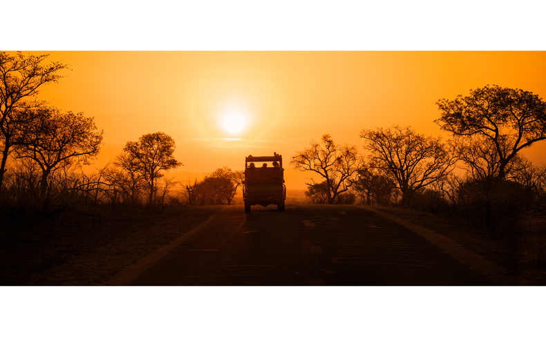 Game Drives is a great way to see nature up close. We offer some of the best game drives near Kimberley, with more than 40 different species to witness. 