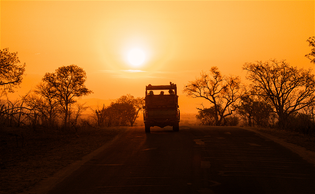 Game Drives is a great way to see nature up close. We offer some of the best game drives near Kimberley, with more than 40 different species to witness. 