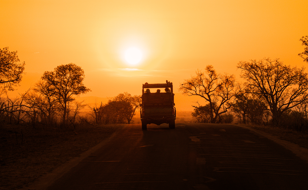 Game Drives is a great way to see nature up close. We offer some of the best game drives near Kimberley, with more than 40 different species to witness. Game Drives is a great way to see nature up close. We offer some of the best game drives near Kimberley, with more than 40 different species to witness.
