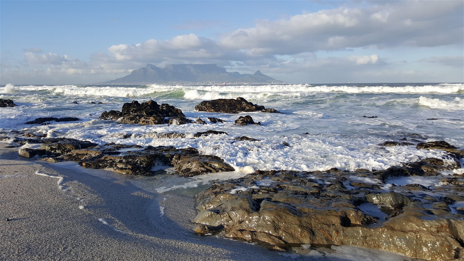 Cape Town safaris